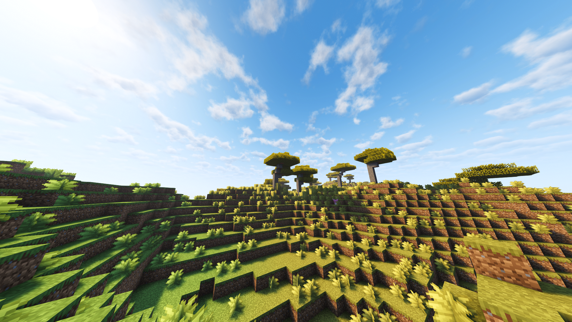 Minecraft landscape screenshot 1